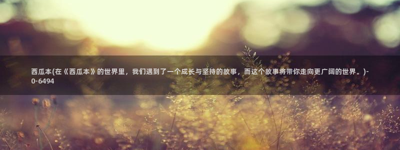 西瓜影院电影免费在线看完整版