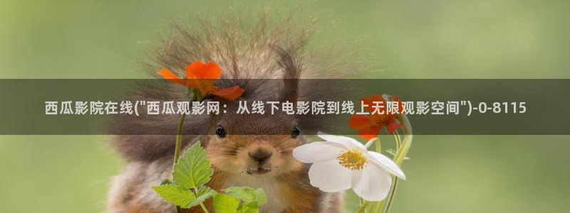 你好星期六免费观看西瓜影院