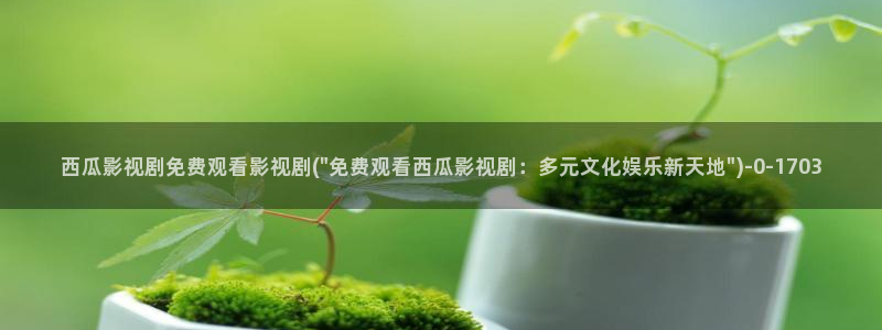 西瓜视频免费看电视剧