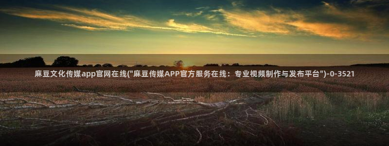 麻豆视频可读内容