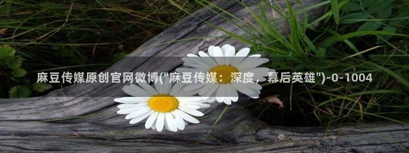 麻豆视频资料维护