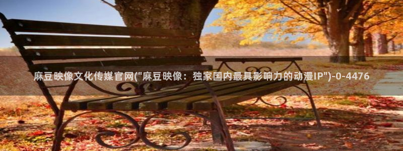 麻豆新片描述