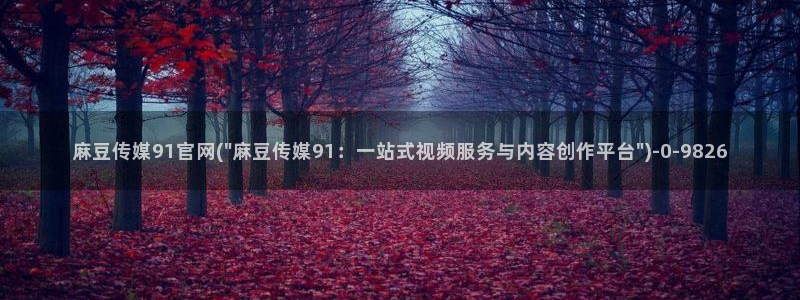 麻豆视频内容聚合