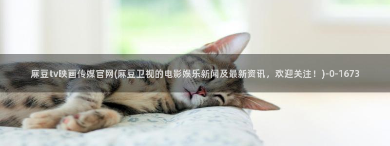 麻豆视频专题