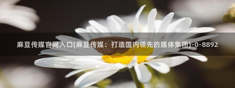 麻豆内容服务