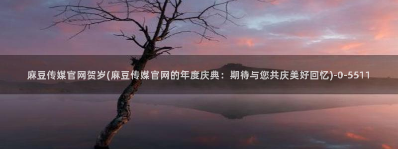 麻豆榜单页