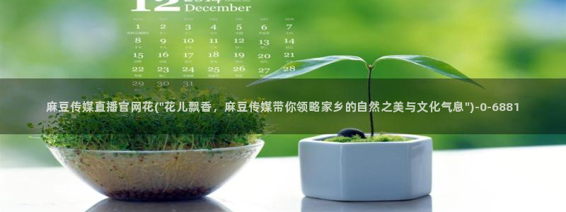 麻豆视频采集