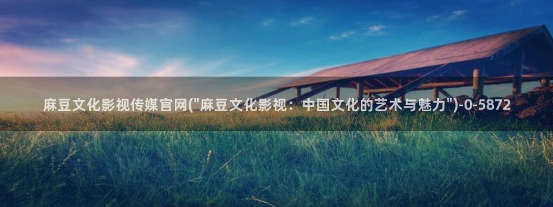 麻豆视频内容聚合