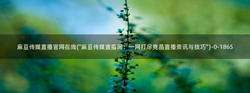麻豆视频文章描述