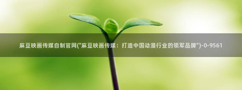 麻豆人物关系