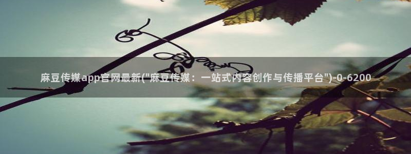 麻豆新片