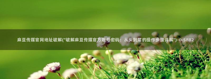 麻豆视频分类目录