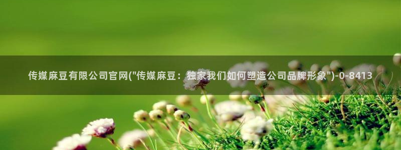 麻豆演员资料