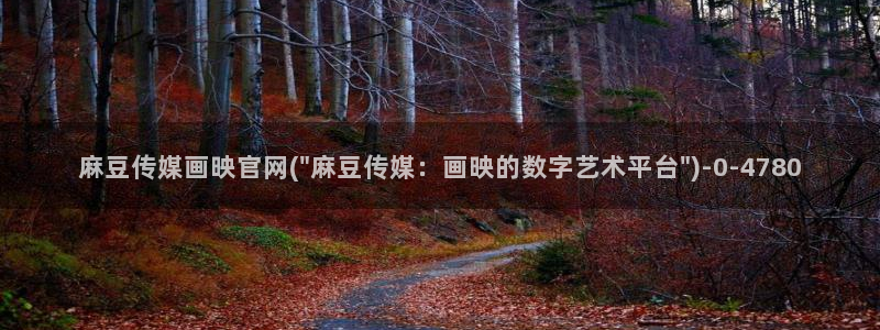 麻豆视频优质内容