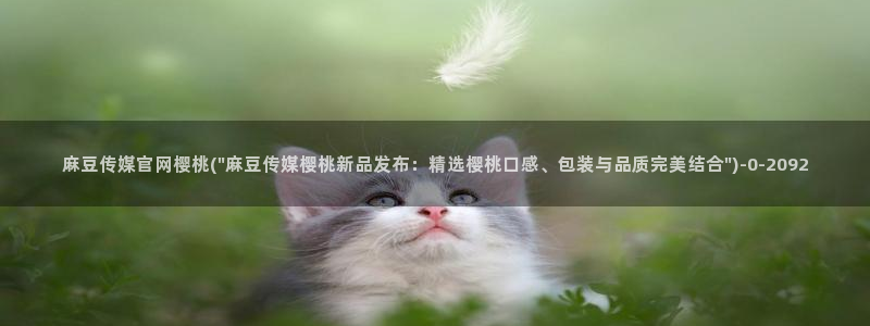 麻豆高口碑视频