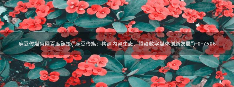 麻豆观看标题