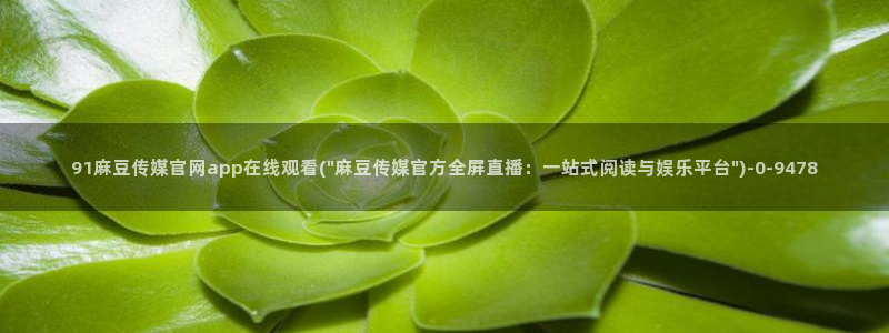 麻豆短片