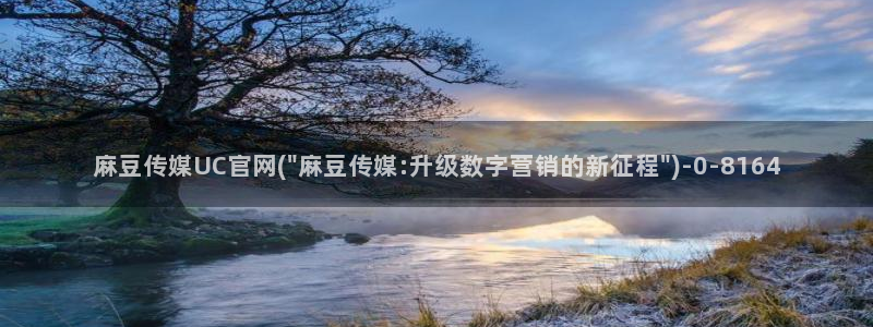 麻豆视频库