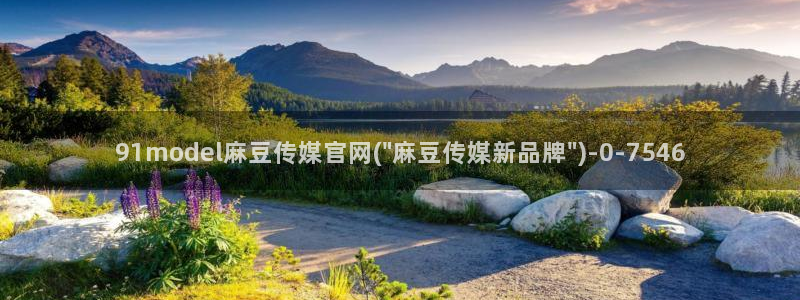 麻豆视频搜索词：91model麻豆传媒官网(\