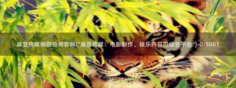 麻豆视频：麻豆传媒映画公司官网(\