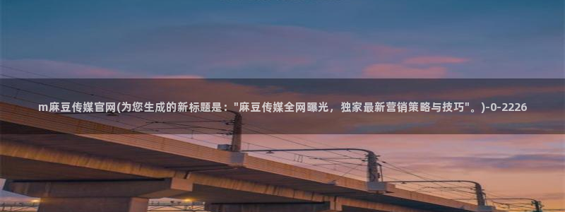 麻豆视频入口