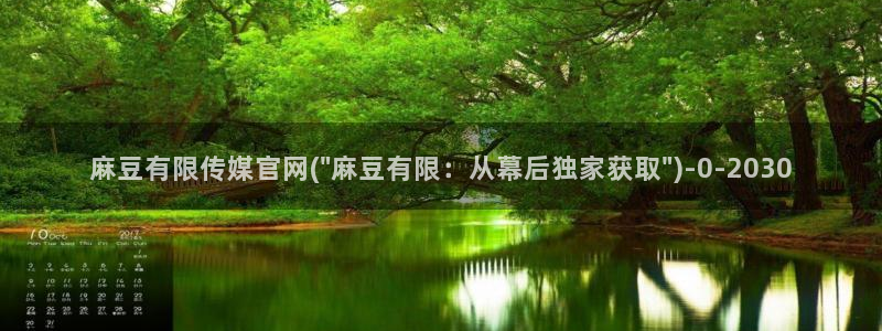 麻豆视频描述规则